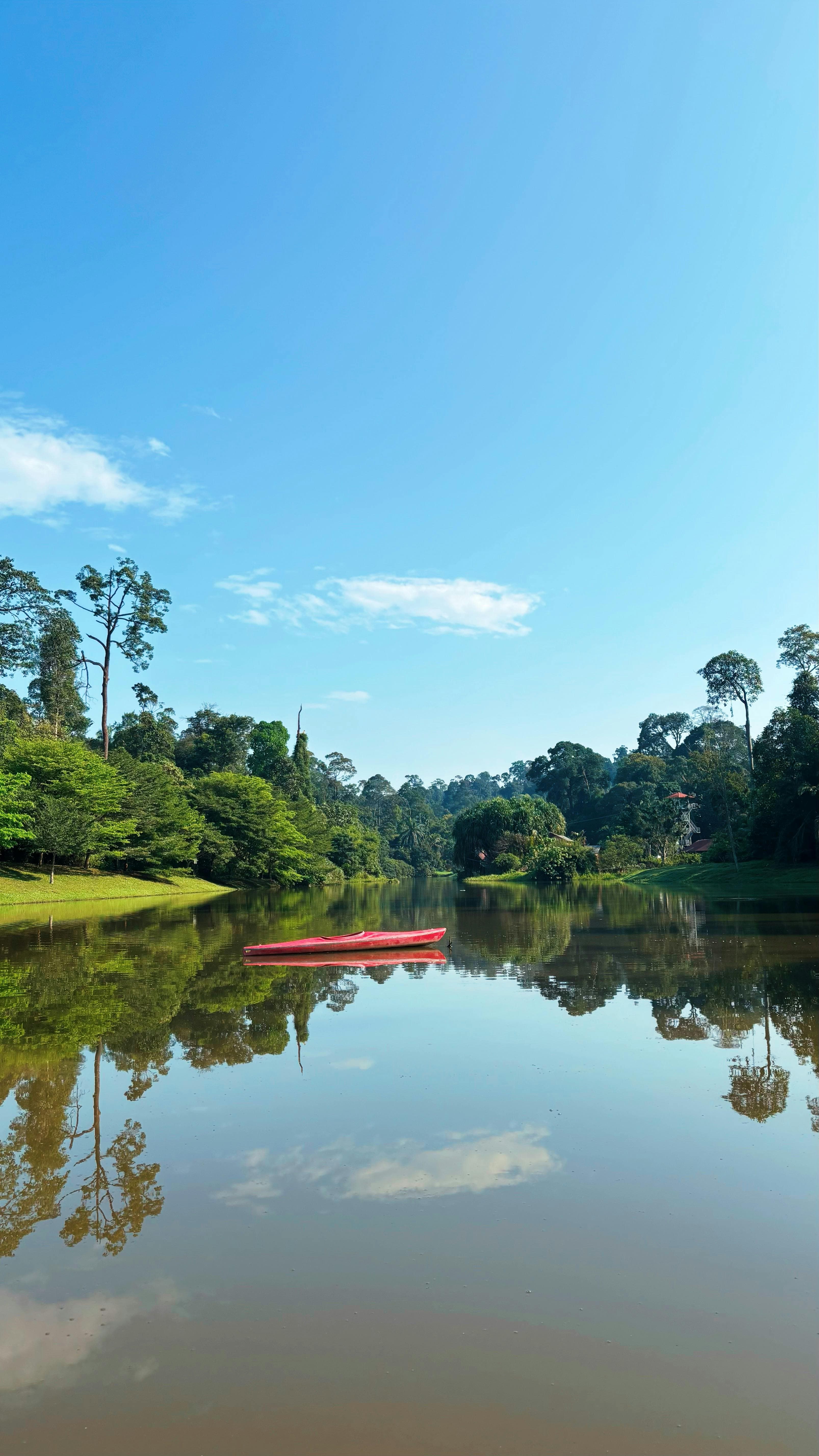 Misty Munnar & Thekkady image 1
