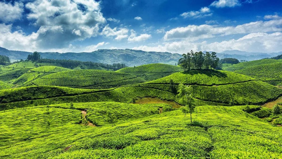 Kerala